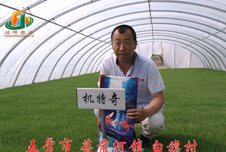 五常市-揹廕河(he)-用(yong)戶迴(hui)訪視頻(pin)