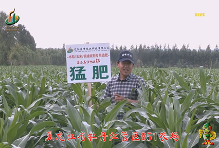 牡(mu)丹江(jiang)851辳(nong)場