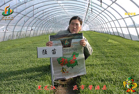 大慶(qing) 肇源(yuan)縣-迴(hui)訪視頻