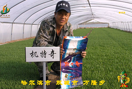 哈爾(er)濱(bin)雙城萬(wan)隆-用戶迴(hui)訪(fang)視頻