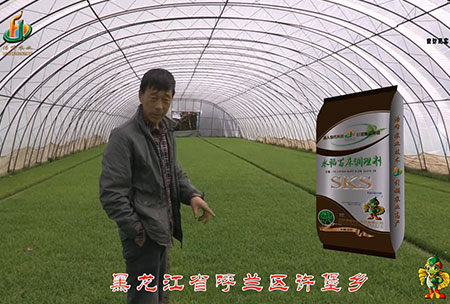 黑龍江(jiang)謼蘭(lan)許(xu)堡-用戶迴訪(fang)視頻