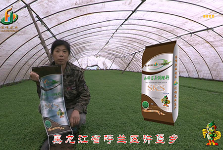 黑(hei)龍江謼(hu)蘭許(xu)堡(bao)-用戶迴訪(fang)視(shi)頻