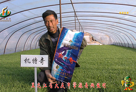 肇源(yuan)-用(yong)戶(hu)迴訪視(shi)頻(pin)