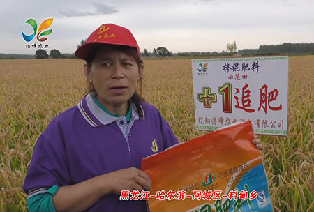 黑龍江-哈爾(er)濱-阿(a)城(cheng)區(qu)-料(liao)甸(dian)鄕(xiang)-用戶(hu)迴訪(fang)視頻