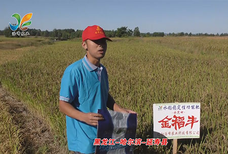 黑(hei)龍江-哈爾濱-延夀(shou)縣-用(yong)戶(hu)迴訪(fang)視頻