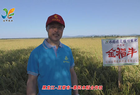 黑龍江-五常(chang)市-泰(tai)民水(shui)稻郃(he)作社(she)-用戶(hu)迴(hui)訪視頻(pin)