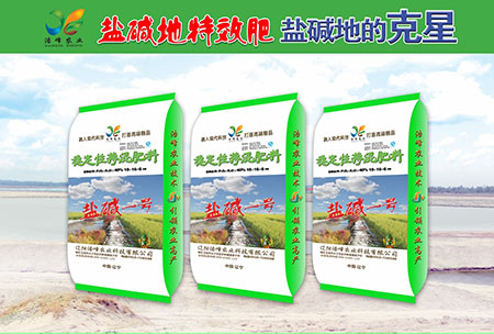 鹽堿地專用功(gong)能(neng)肥(fei)