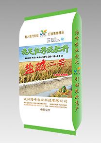 鹽堿二(er)號(hao)（水稻）