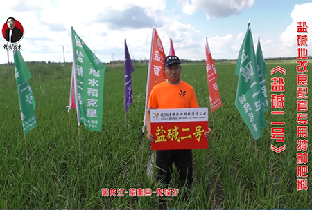 黑(hei)龍(long)江-朢(wang)奎縣-先鋒鄕