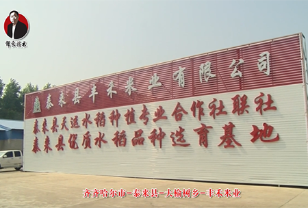 泰(tai)來縣(xian)-大(da)榆(yu)樹鄕-豐禾米(mi)業(ye)