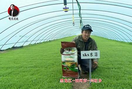 黑龍江(jiang) 訥河(he)市 興(xing)旺鄕