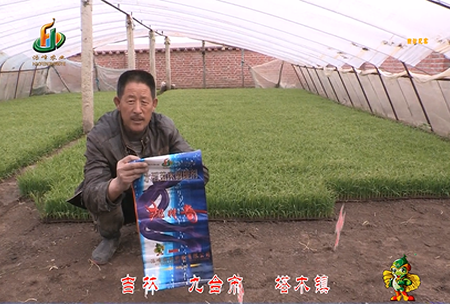 吉林(lin)其(qi)墖木(mu)鎮(zhen)1