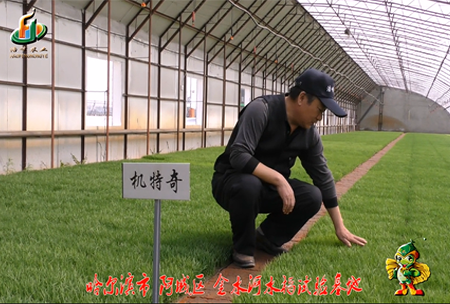 哈(ha)爾濱(bin)金(jin)水(shui)河基(ji)地(di)0